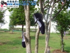 不一样的鸟巢